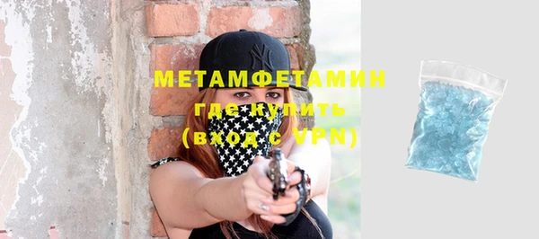 гидра Надым