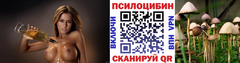 Галлюциногенные грибы Magic Shrooms  кракен онион  Мегион 